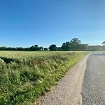 Töreki 34 *