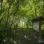 Töreki 34 Apartamento Siófok