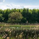 Töreki 34 *
