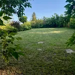 Töreki 34 *